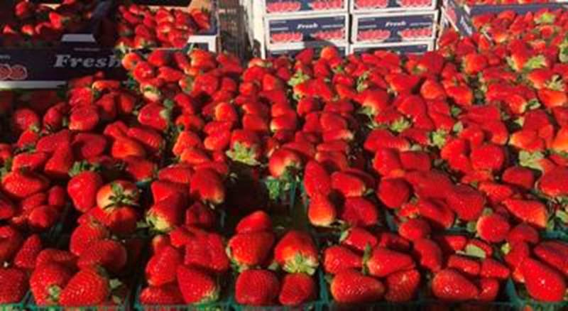 Strawberries phot